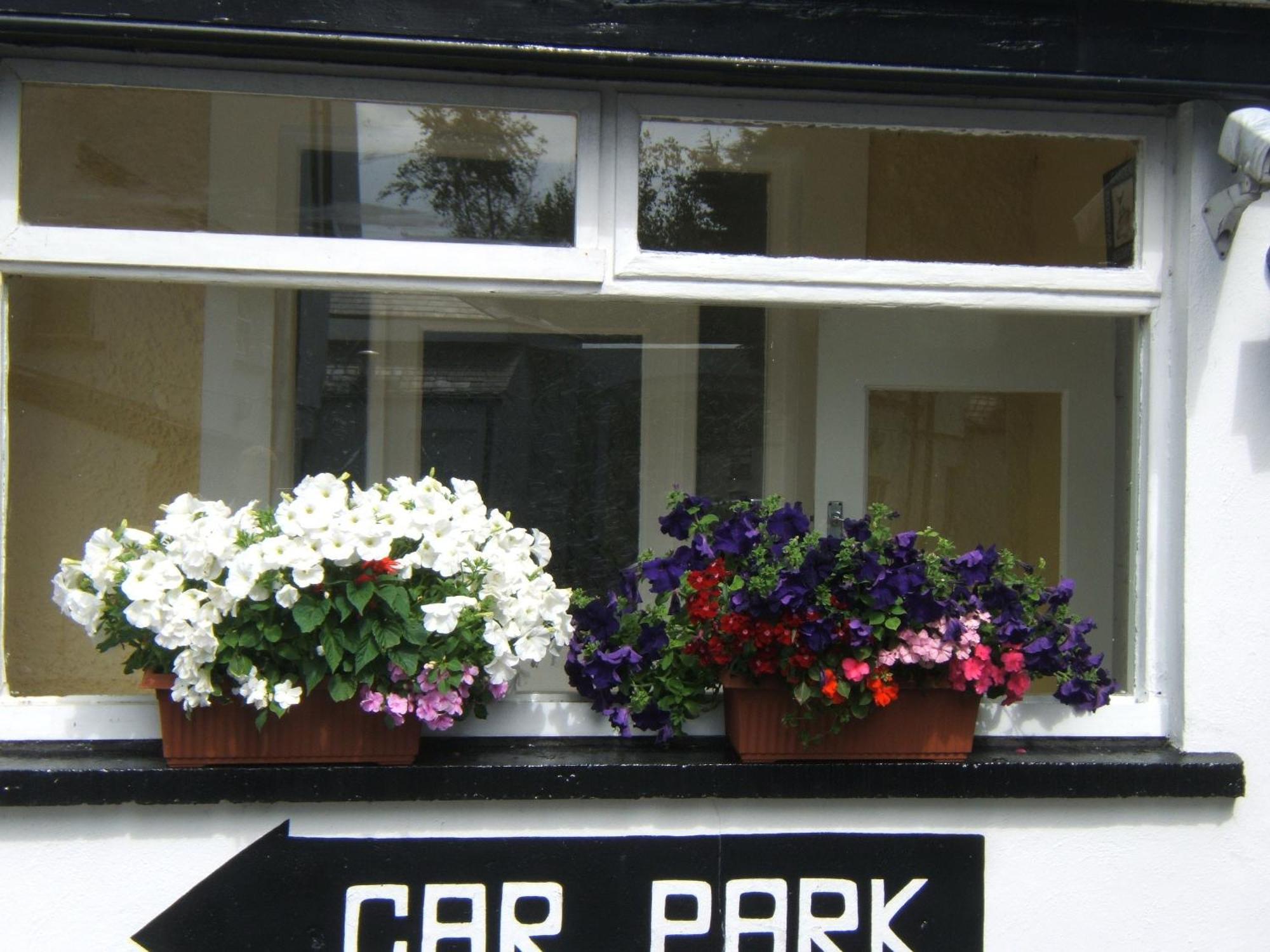 Faythe Guesthouse Wexford Dış mekan fotoğraf