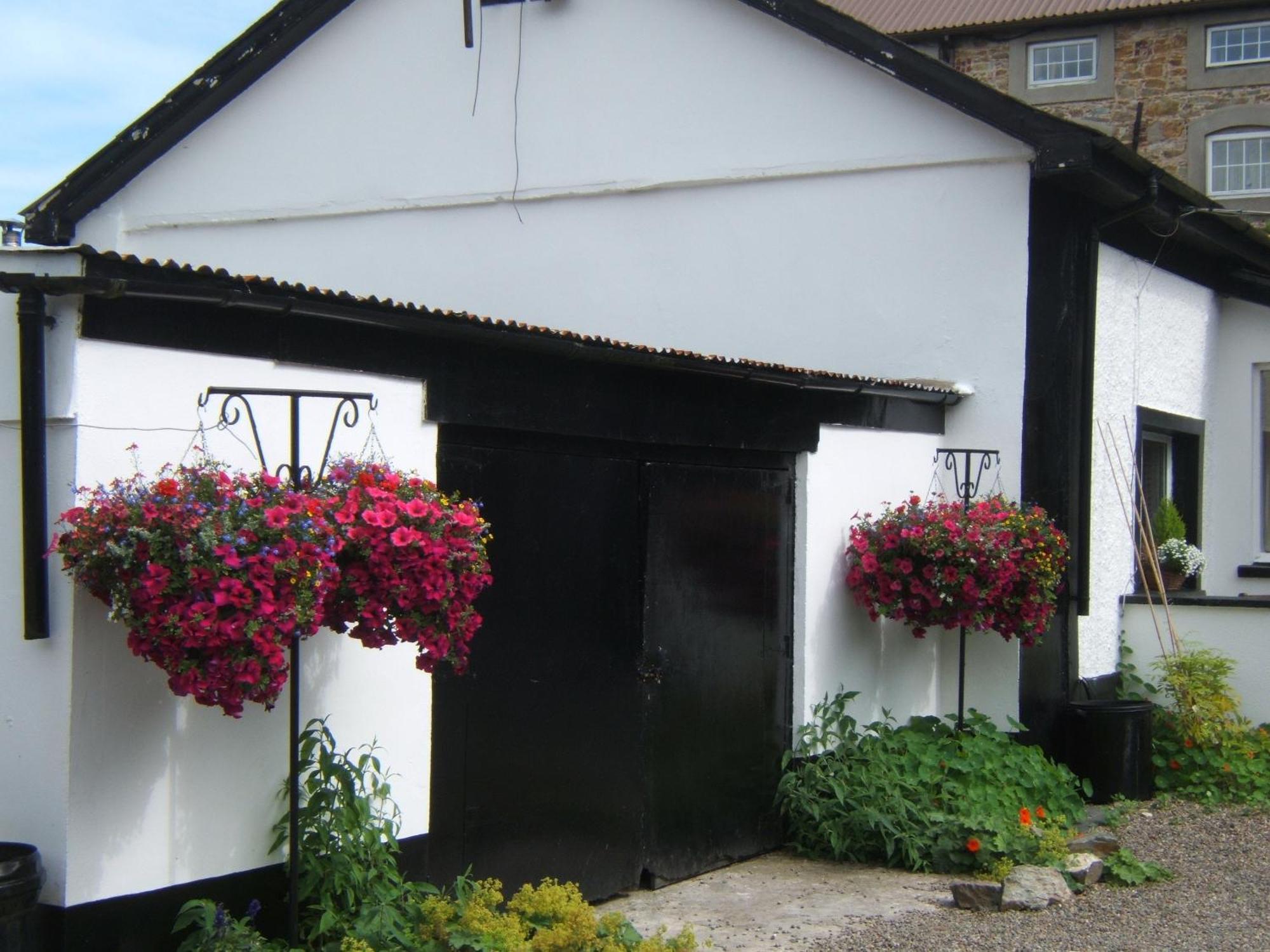 Faythe Guesthouse Wexford Dış mekan fotoğraf